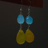 Sunshine Hearings