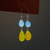 Sunshine Hearings